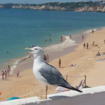 Azul アルマカオ・デ・ペラ