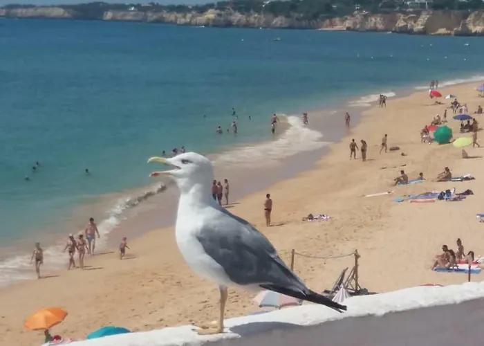Azul Armação de Pêra